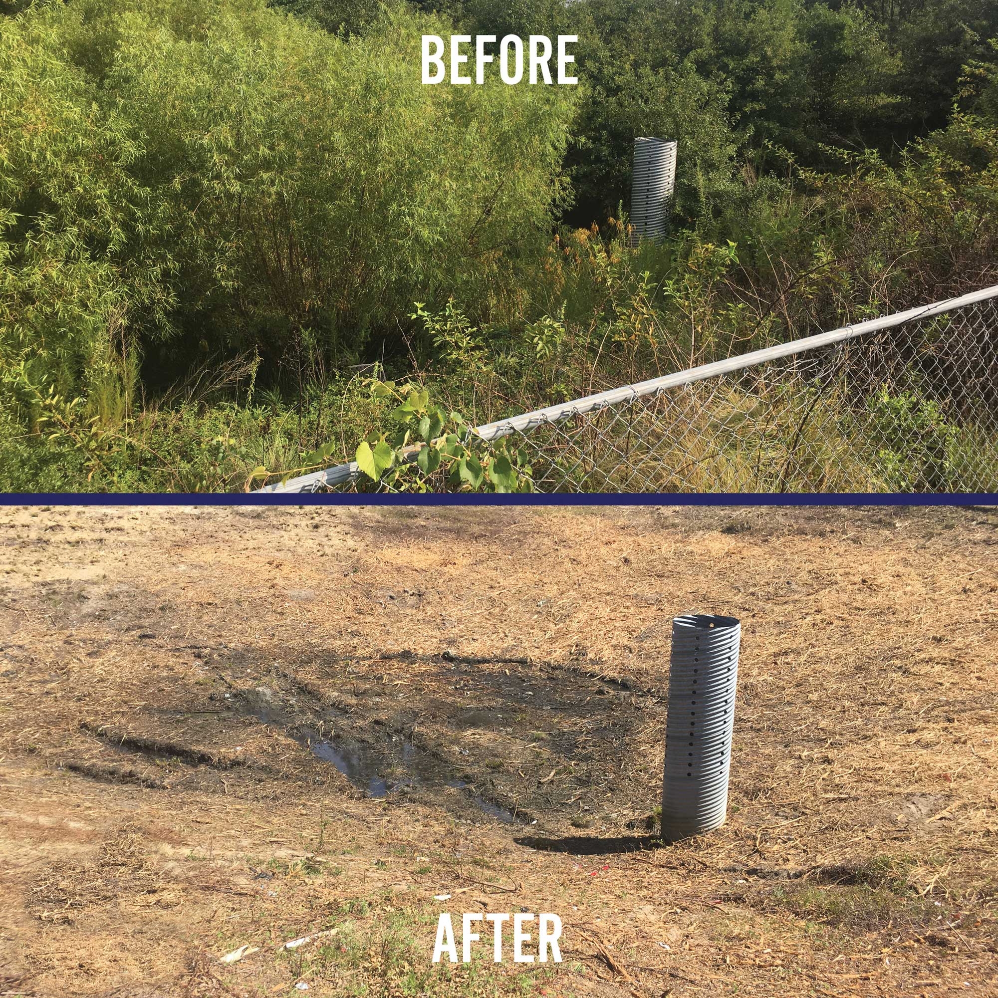 Before and After